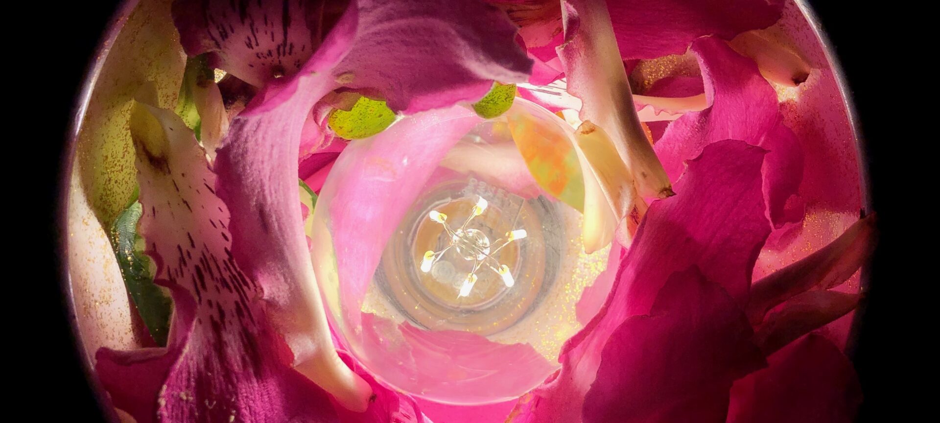 Projet Chaos réalisé par Séverine Fontaine.